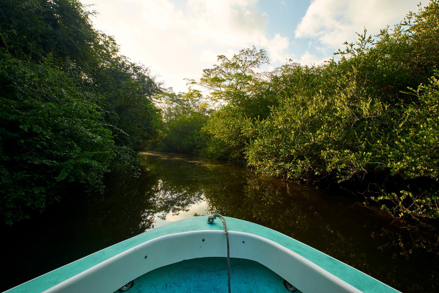 lamanai jungle river tour